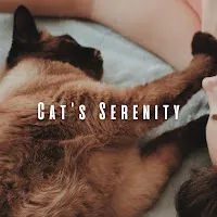 Riverfall Science — Soothing River Meows Ft Relax My Cat & Sleepy Cats — обложка